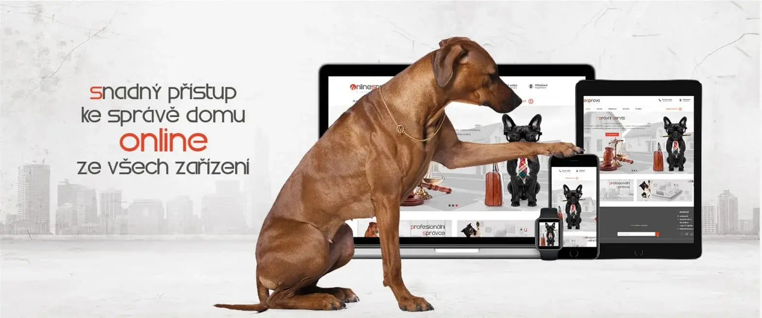 Náhled klientské zóny portálu OnlineSprava