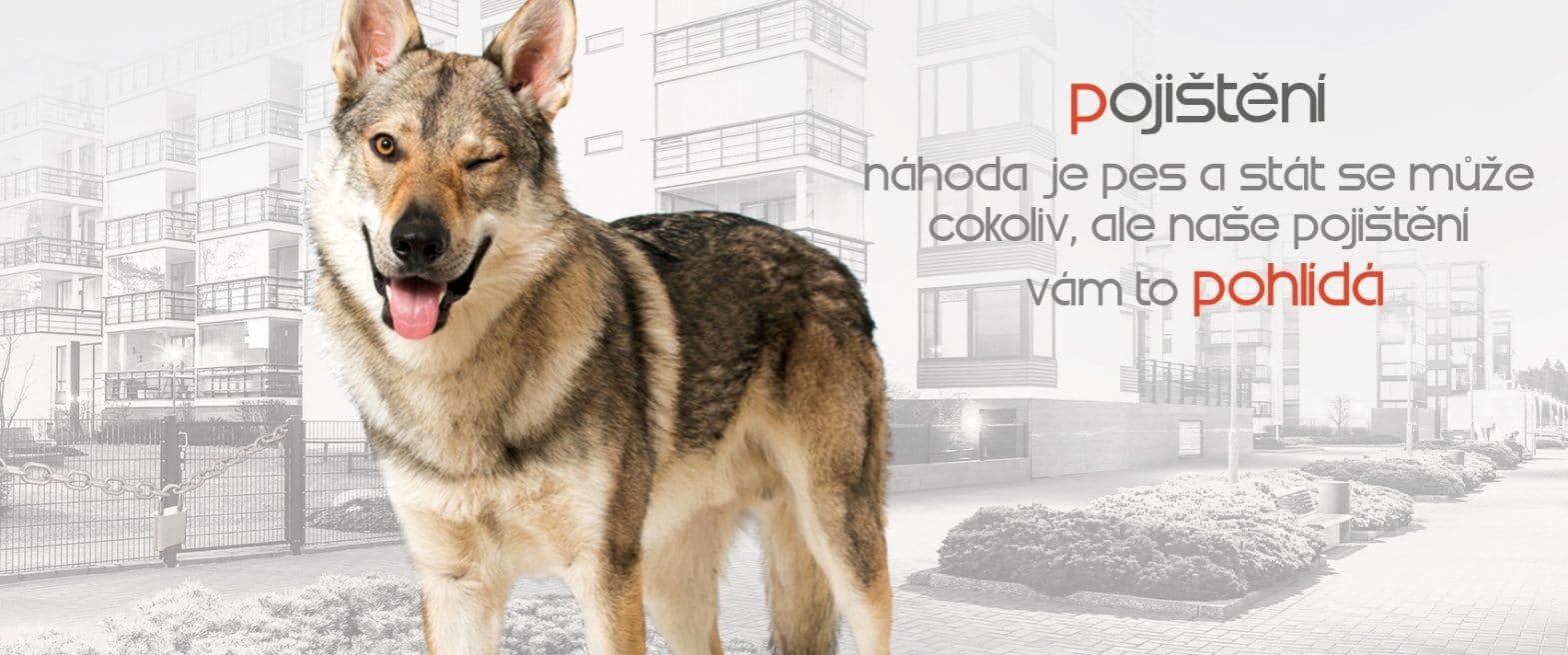 Pojištění pro SVJ a bytové domy v Brně