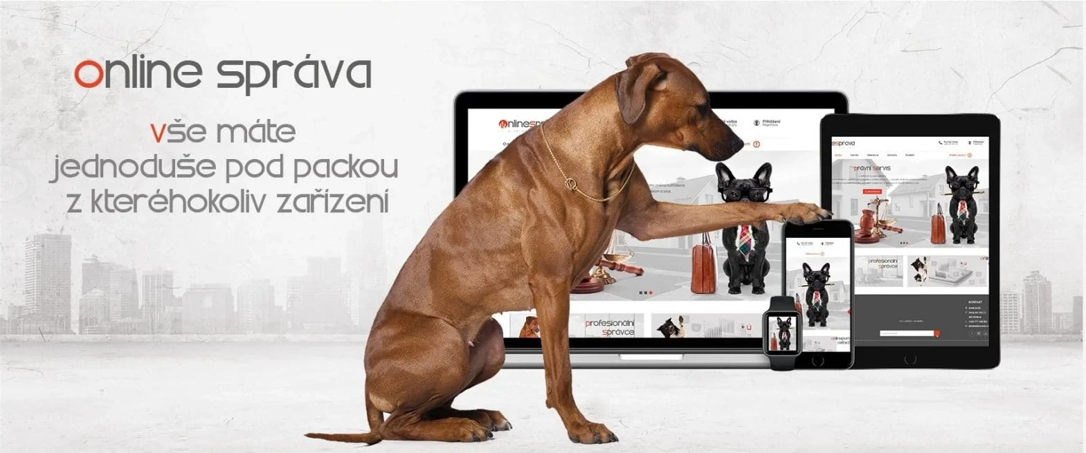 Online portál pro správu SVJ — přehled plateb a dokumentů