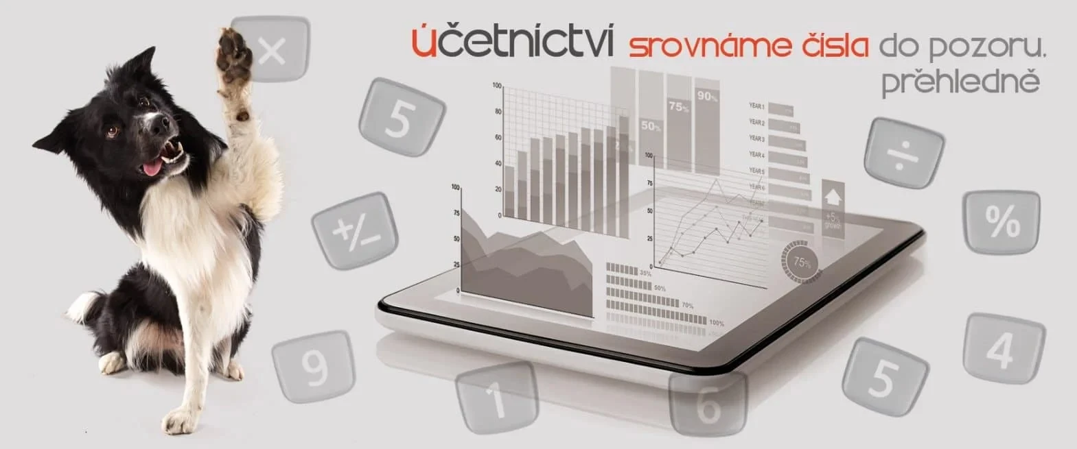 Účetnictví SVJ a roční vyúčtování služeb